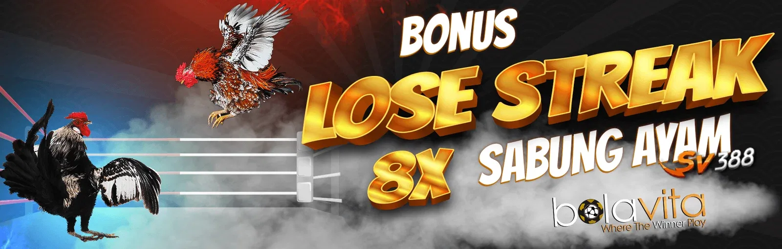 bonus-lose-streak-sabung-ayam-sv388